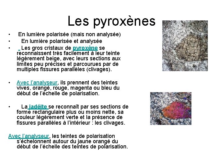 Les pyroxènes • • • En lumière polarisée (mais non analysée) En lumière polarisée