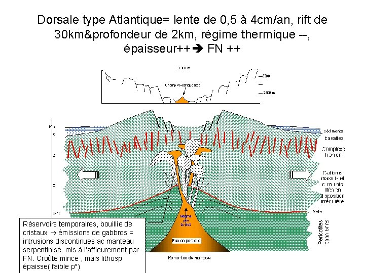 Dorsale type Atlantique= lente de 0, 5 à 4 cm/an, rift de 30 km&profondeur