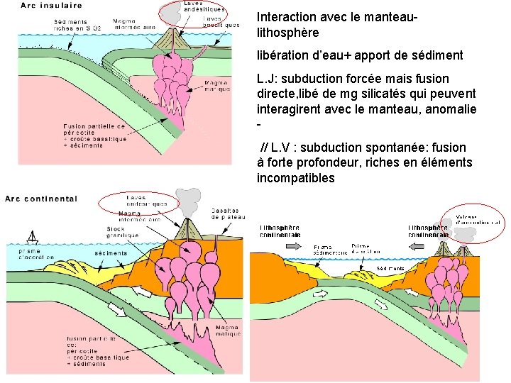 Interaction avec le manteau- lithosphère libération d’eau+ apport de sédiment Où? L. J: subduction