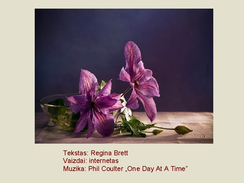 vtr Tekstas: Regina Brett Vaizdai: internetas Muzika: Phil Coulter „One Day At A Time”