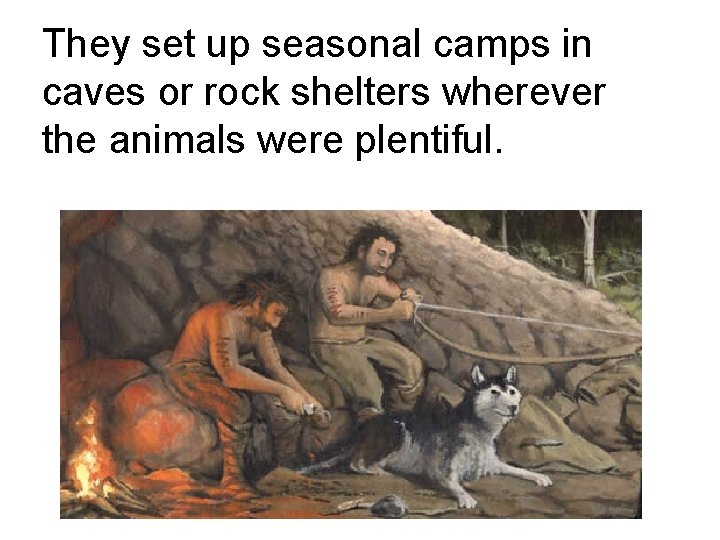 They set up seasonal camps in caves or rock shelters wherever the animals were They set up seasonal camps in caves or rock shelters wherever the animals were