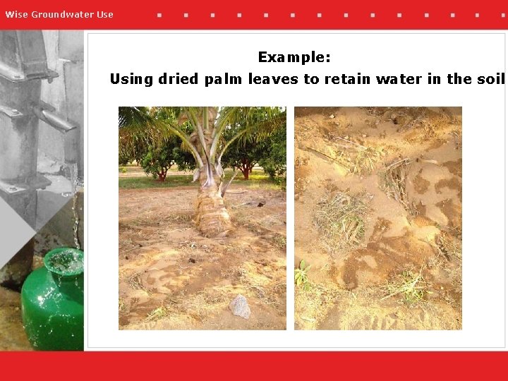 Wise Groundwater Use Example: Using dried palm leaves to retain water in the soil