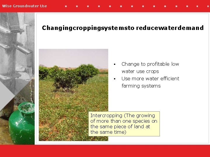 Wise Groundwater Use Changingcroppingsystemsto reduce water demand § Change to profitable low water use