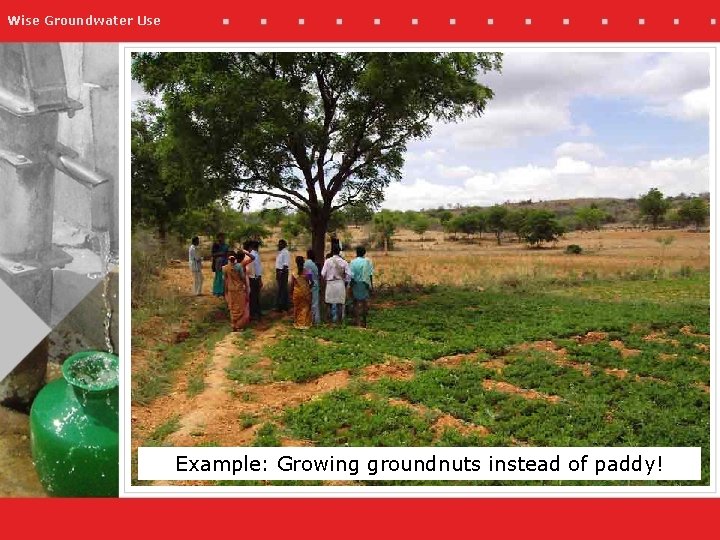 Wise Groundwater Use Example: Growing groundnuts instead of paddy! 