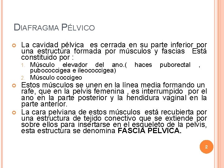 DIAFRAGMA PÉLVICO La cavidad pélvica es cerrada en su parte inferior por una estructura DIAFRAGMA PÉLVICO La cavidad pélvica es cerrada en su parte inferior por una estructura