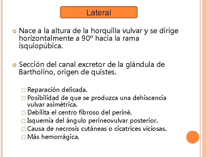 Lateral Nace a la altura de la horquilla vulvar y se dirige horizontalmente a Lateral Nace a la altura de la horquilla vulvar y se dirige horizontalmente a