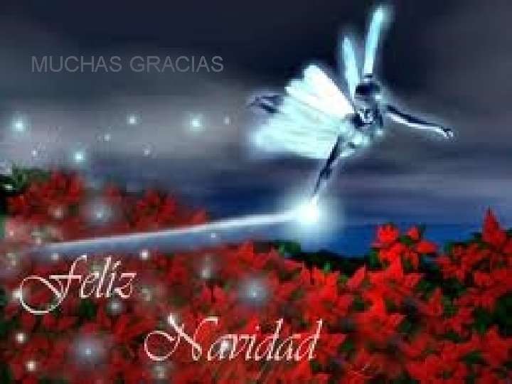 MUCHAS GRACIAS MUCHAS GRACIAS