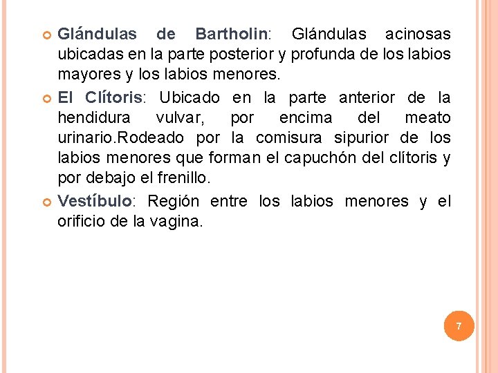 Glándulas de Bartholin: Glándulas acinosas ubicadas en la parte posterior y profunda de los Glándulas de Bartholin: Glándulas acinosas ubicadas en la parte posterior y profunda de los