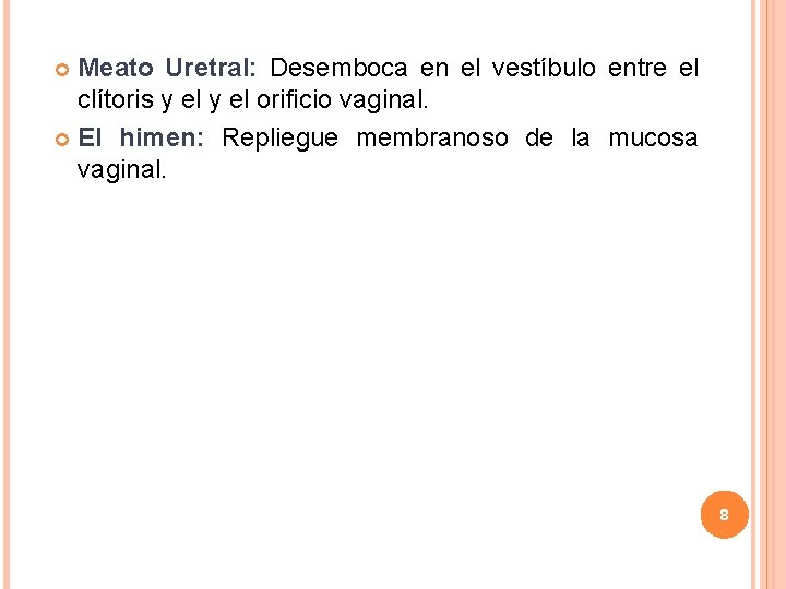 Meato Uretral: Desemboca en el vestíbulo entre el clítoris y el orificio vaginal. El Meato Uretral: Desemboca en el vestíbulo entre el clítoris y el orificio vaginal. El
