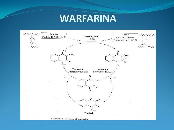 WARFARINA WARFARINA