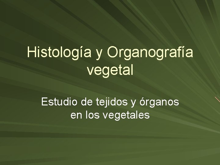 Histología y Organografía vegetal Estudio de tejidos y órganos en los vegetales 