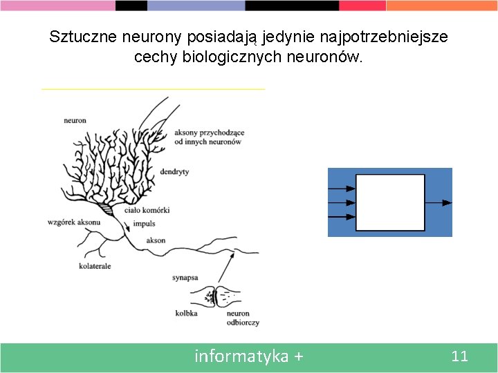 Sztuczne neurony posiadają jedynie najpotrzebniejsze cechy biologicznych neuronów. informatyka + 11 