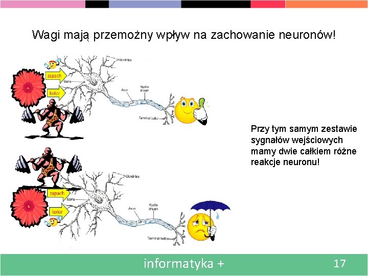 Wagi mają przemożny wpływ na zachowanie neuronów! Przy tym samym zestawie sygnałów wejściowych mamy