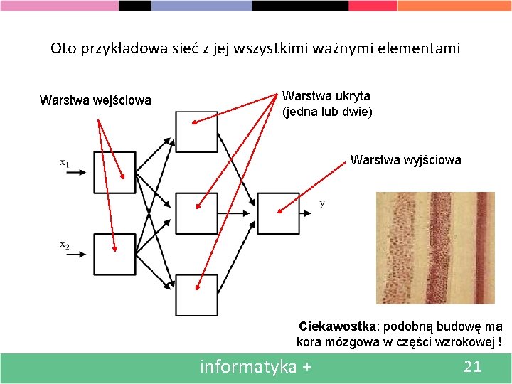 Oto przykładowa sieć z jej wszystkimi ważnymi elementami Warstwa wejściowa Warstwa ukryta (jedna lub