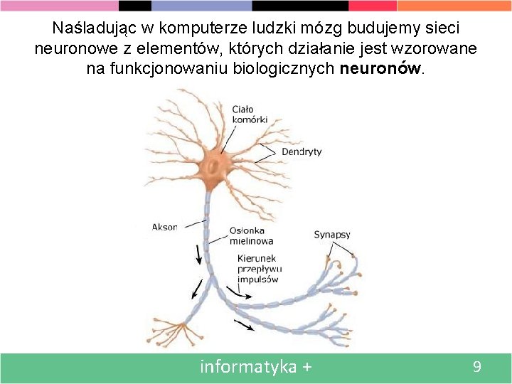 Naśladując w komputerze ludzki mózg budujemy sieci neuronowe z elementów, których działanie jest wzorowane