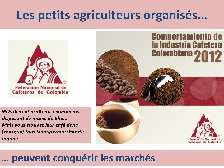 Les petits agriculteurs organisés… 95% des caféiculteurs colombiens disposent de moins de 5 ha…