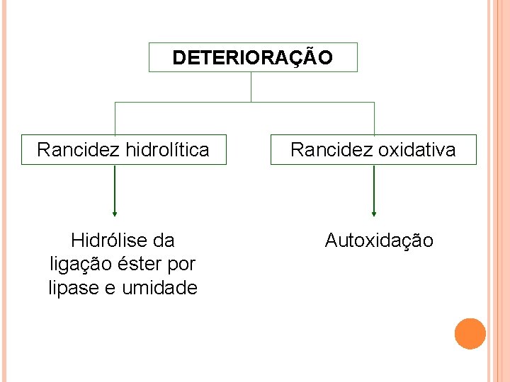 DETERIORAÇÃO Rancidez hidrolítica Rancidez oxidativa Hidrólise da ligação éster por lipase e umidade Autoxidação