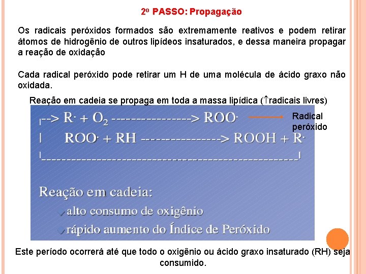 2 o PASSO: Propagação Os radicais peróxidos formados são extremamente reativos e podem retirar