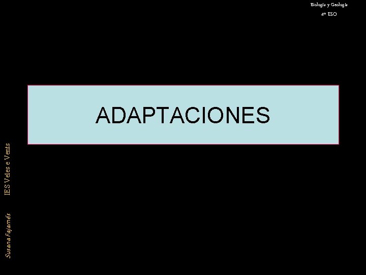 Biología y Geología 4º ESO Susana Fajarnés IES Veles e Vents ADAPTACIONES 