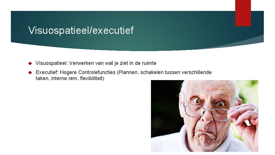 Visuospatieel/executief Visuospatieel: Verwerken van wat je ziet in de ruimte Executief: Hogere Controlefuncties (Plannen,