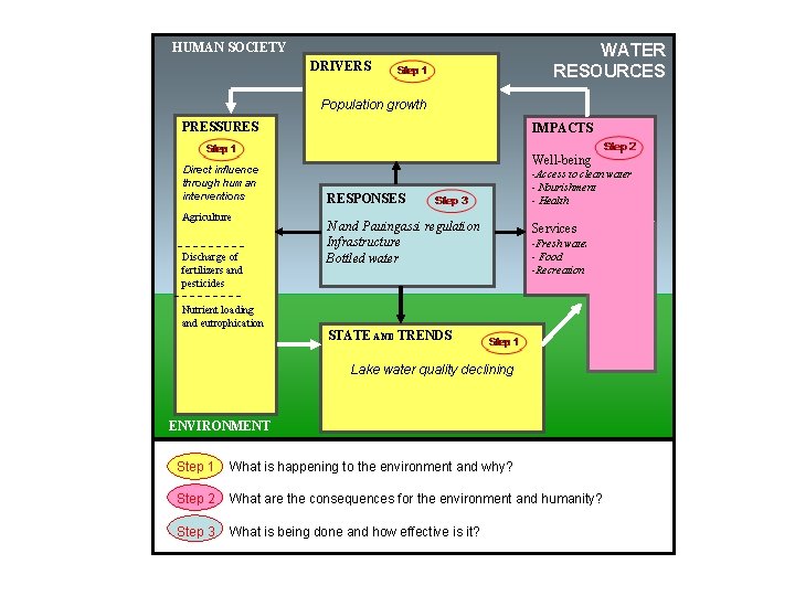 HUMAN SOCIETY DRIVERS WATER RESOURCES Population growth PRESSURES Direct influence through human interventions Agriculture