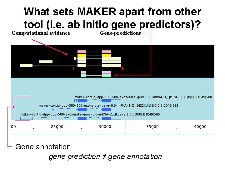 What sets MAKER apart from other tool (i. e. ab initio gene predictors)? Computational