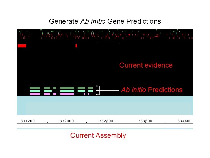 Generate Ab Initio Gene Predictions Current evidence Ab initio Predictions Current Assembly 