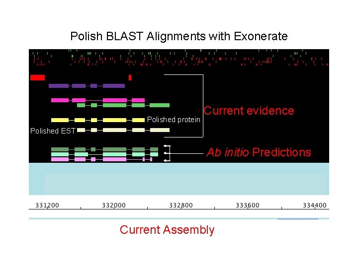 Polish BLAST Alignments with Exonerate Polished protein Current evidence Polished EST Ab initio Predictions