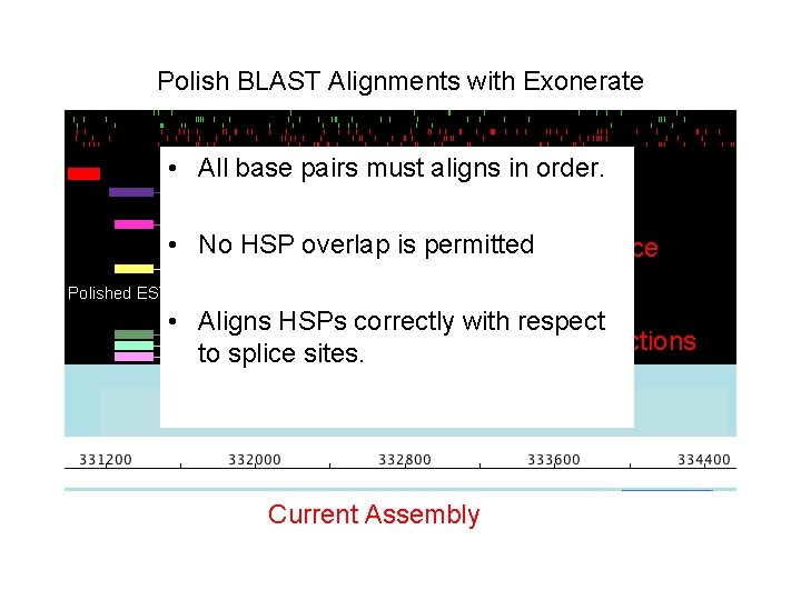 Polish BLAST Alignments with Exonerate • All base pairs must aligns in order. •