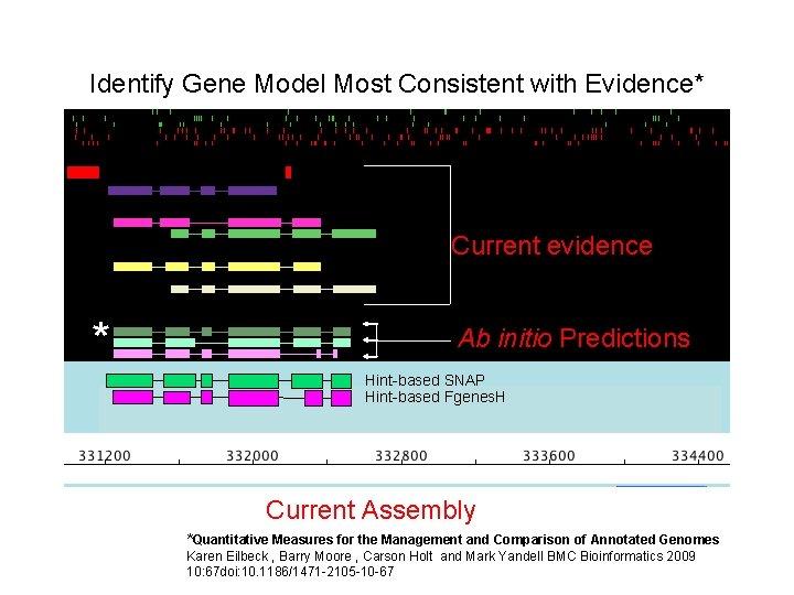 Identify Gene Model Most Consistent with Evidence* Current evidence * Ab initio Predictions Hint-based