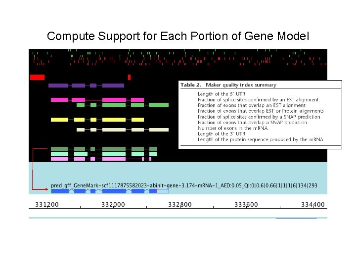 Compute Support for Each Portion of Gene Model 