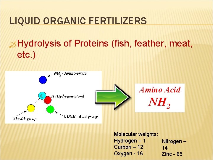 LIQUID ORGANIC FERTILIZERS Hydrolysis of Proteins (fish, feather, meat, etc. ) Amino Acid NH