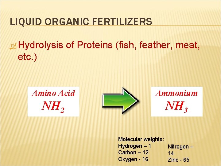 LIQUID ORGANIC FERTILIZERS Hydrolysis of Proteins (fish, feather, meat, etc. ) Amino Acid Ammonium