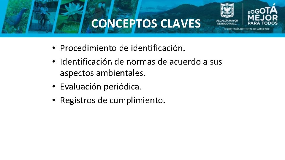 CONCEPTOS CLAVES • Procedimiento de identificación. • Identificación de normas de acuerdo a sus