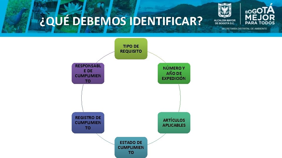 ¿QUÉ DEBEMOS IDENTIFICAR? TIPO DE REQUISITO RESPONSABL E DE CUMPLIMIEN TO NÚMERO Y AÑO ¿QUÉ DEBEMOS IDENTIFICAR? TIPO DE REQUISITO RESPONSABL E DE CUMPLIMIEN TO NÚMERO Y AÑO