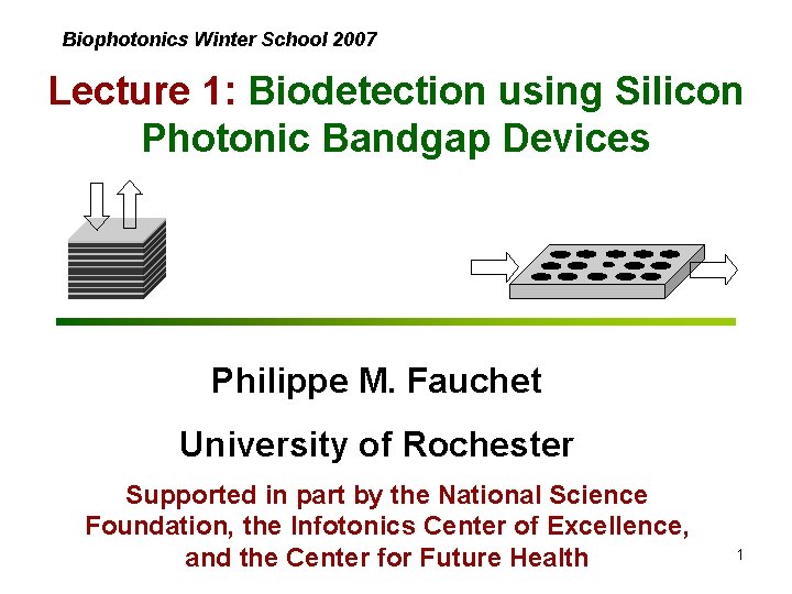 Biophotonics Winter School 2007 Lecture 1: Biodetection using Silicon Photonic Bandgap Devices Philippe M.