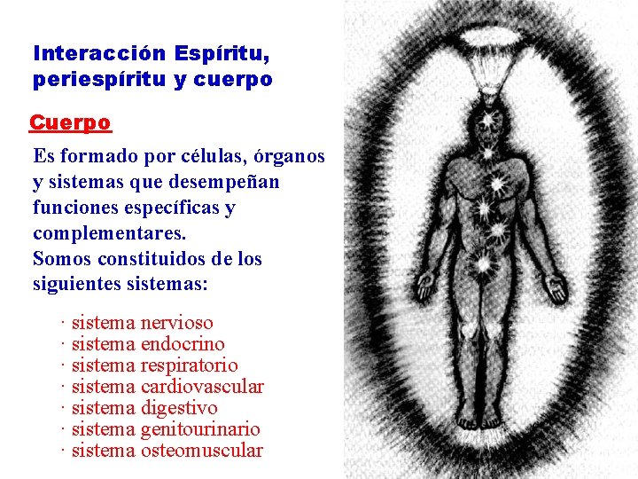 Interacción Espíritu, periespíritu y cuerpo Cuerpo Es formado por células, órganos y sistemas que