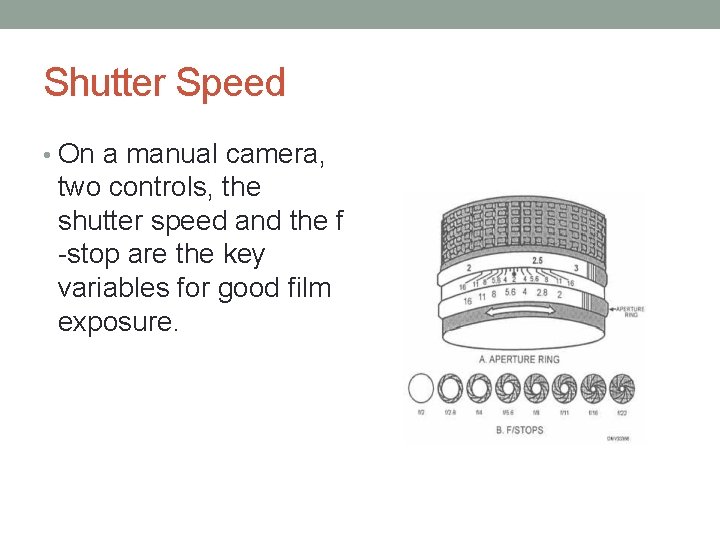 Shutter Speed • On a manual camera, two controls, the shutter speed and the