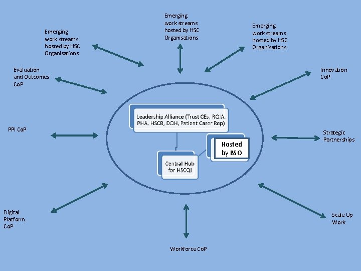 Emerging work streams hosted by HSC Organisations Evaluation and Outcomes Co. P Innovation Co.