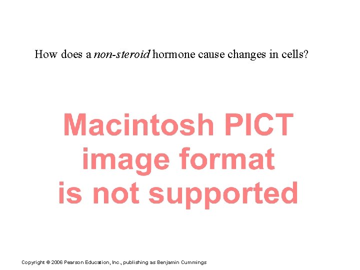 Non-Steroid Hormones: How does a non-steroid hormone cause changes in cells? Copyright © 2006