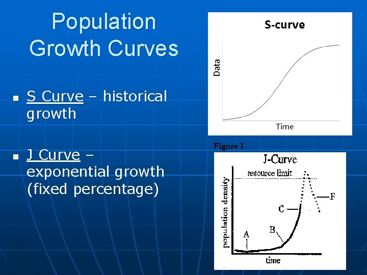 Population Growth Curves n n S Curve – historical growth J Curve – exponential