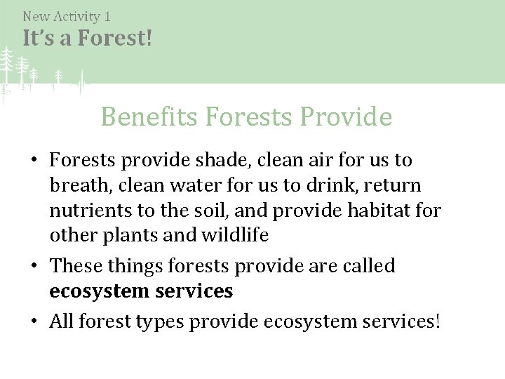 Benefits Forests Provide • Forests provide shade, clean air for us to breath, clean