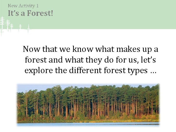 Now that we know what makes up a forest and what they do for