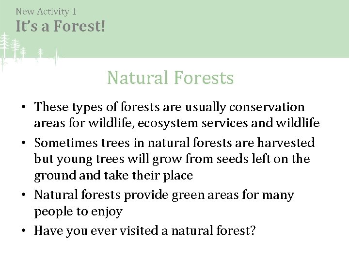 Natural Forests • These types of forests are usually conservation areas for wildlife, ecosystem