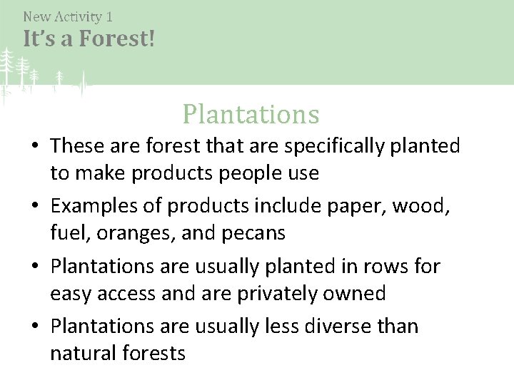 Plantations • These are forest that are specifically planted to make products people use