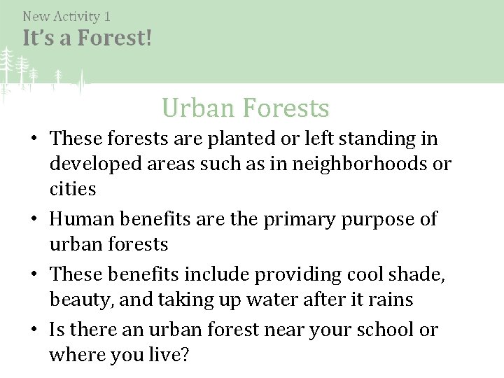 Urban Forests • These forests are planted or left standing in developed areas such