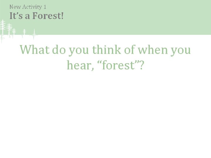 What do you think of when you hear, “forest”? 