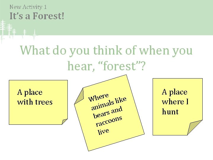 What do you think of when you hear, “forest”? A place with trees re