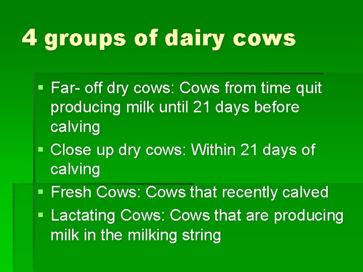 4 groups of dairy cows § Far- off dry cows: Cows from time quit