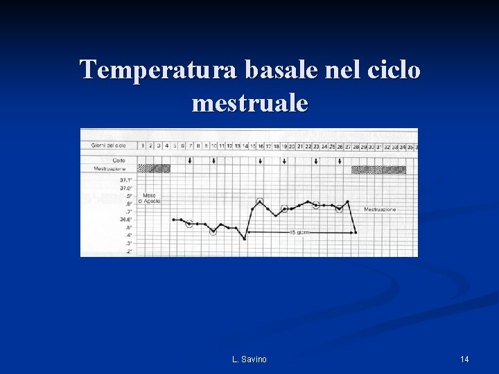 Temperatura basale nel ciclo mestruale L. Savino 14 